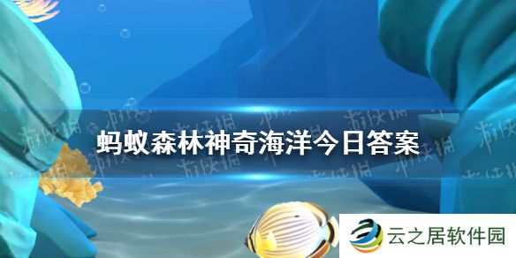 猜一猜以下哪种蟹会排队换壳 神奇海洋1月5日答案